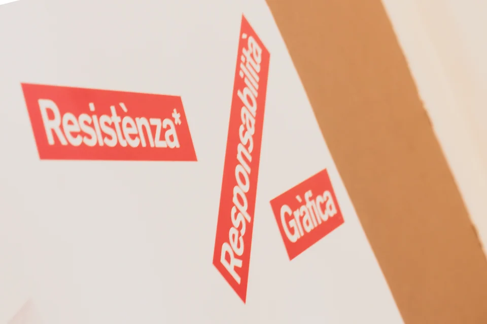 Resistenza responsabilità e grafica